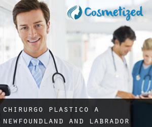 Chirurgo Plastico a Newfoundland and Labrador