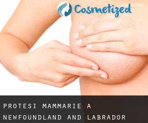 Protesi mammarie a Newfoundland and Labrador