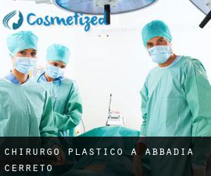 Chirurgo Plastico a Abbadia Cerreto