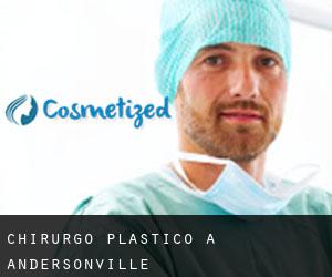 Chirurgo Plastico a Andersonville