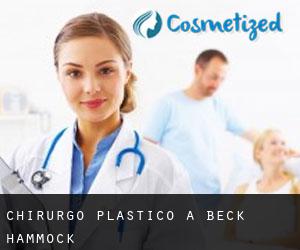 Chirurgo Plastico a Beck Hammock