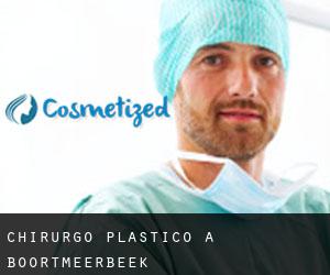 Chirurgo Plastico a Boortmeerbeek