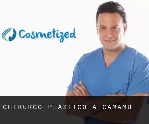 Chirurgo Plastico a Camamu