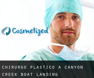 Chirurgo Plastico a Canyon Creek Boat Landing