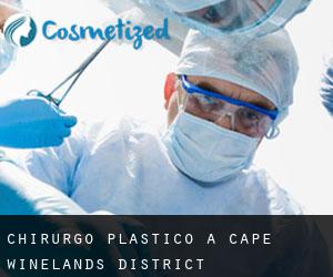 Chirurgo Plastico a Cape Winelands District Municipality