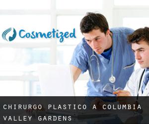Chirurgo Plastico a Columbia Valley Gardens