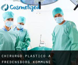 Chirurgo Plastico a Fredensborg Kommune
