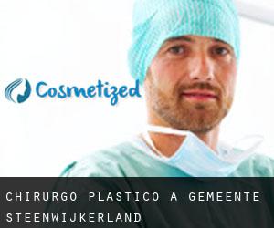Chirurgo Plastico a Gemeente Steenwijkerland