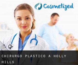 Chirurgo Plastico a Holly Hills