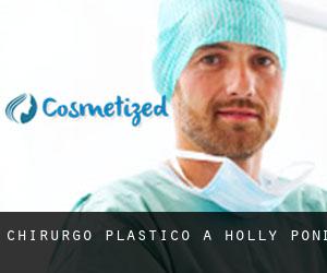 Chirurgo Plastico a Holly Pond