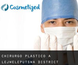 Chirurgo Plastico a Lejweleputswa District Municipality
