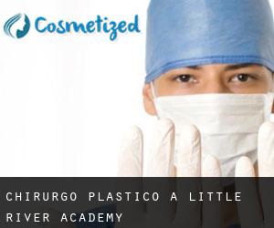 Chirurgo Plastico a Little River-Academy