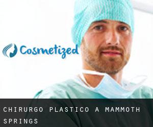 Chirurgo Plastico a Mammoth Springs