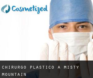 Chirurgo Plastico a Misty Mountain