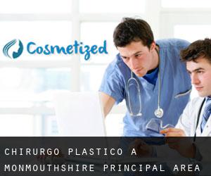 Chirurgo Plastico a Monmouthshire principal area Chirurgo Plastico a Monmouthshire principal area