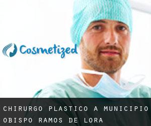 Chirurgo Plastico a Municipio Obispo Ramos de Lora