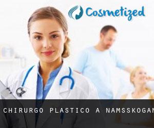 Chirurgo Plastico a Namsskogan