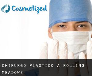 Chirurgo Plastico a Rolling Meadows