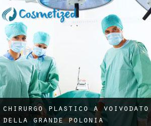 Chirurgo Plastico a Voivodato della Grande Polonia