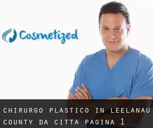 Chirurgo Plastico in Leelanau County da città - pagina 1