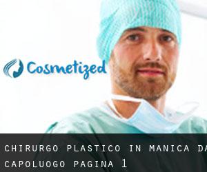 Chirurgo Plastico in Manica da capoluogo - pagina 1