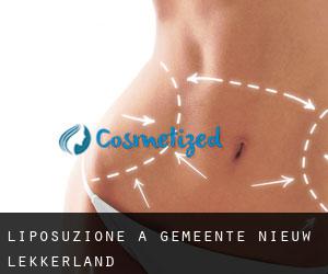 Liposuzione a Gemeente Nieuw-Lekkerland