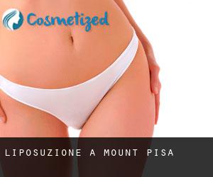 Liposuzione a Mount Pisa
