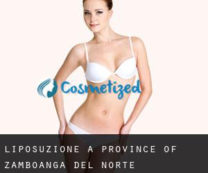 Liposuzione a Province of Zamboanga del Norte