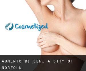 Aumento di seni a City of Norfolk