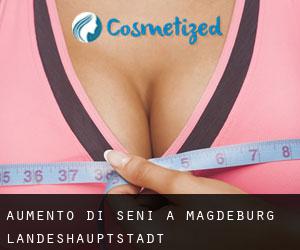 Aumento di seni a Magdeburg Landeshauptstadt Aumento di seni a Magdeburg Landeshauptstadt