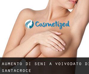 Aumento di seni a Voivodato di Santacroce Aumento di seni a Voivodato di Santacroce