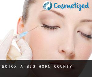 Botox a Big Horn County