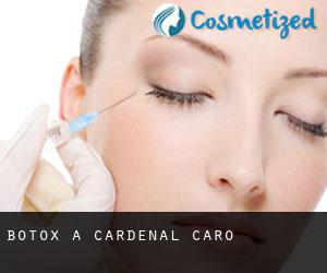 Botox a Cardenal Caro