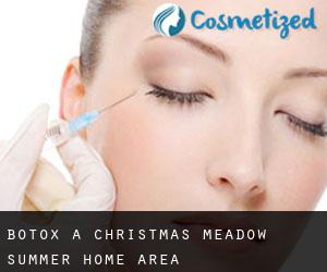 Botox a Christmas Meadow Summer Home Area