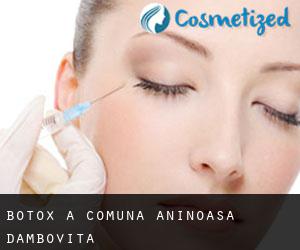 Botox a Comuna Aninoasa (Dâmboviţa)