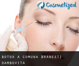 Botox a Comuna Brăneşti (Dâmboviţa)