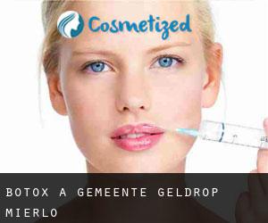 Botox a Gemeente Geldrop-Mierlo