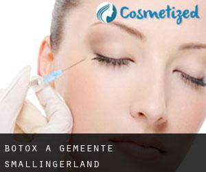 Botox a Gemeente Smallingerland