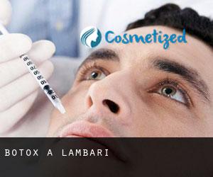 Botox a Lambari