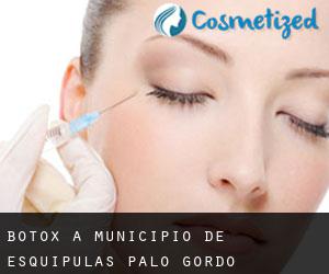 Botox a Municipio de Esquipulas Palo Gordo