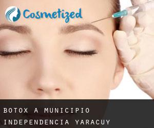 Botox a Municipio Independencia (Yaracuy)