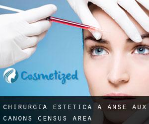 Chirurgia estetica a Anse-aux-Canons (census area)