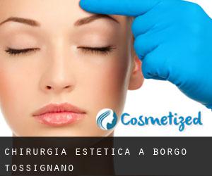Chirurgia estetica a Borgo Tossignano