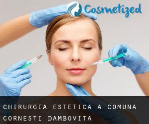 Chirurgia estetica a Comuna Corneşti (Dâmboviţa)