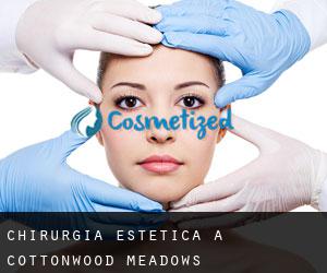 Chirurgia estetica a Cottonwood Meadows