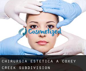 Chirurgia estetica a Coxey Creek Subdivision