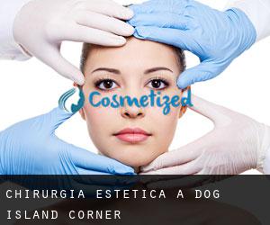Chirurgia estetica a Dog Island Corner