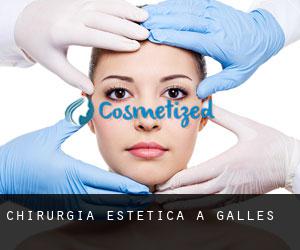 Chirurgia estetica a Galles Chirurgia estetica a Galles