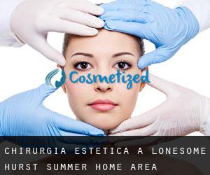 Chirurgia estetica a Lonesome Hurst Summer Home Area