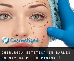 Chirurgia estetica in Barnes County da metro - pagina 1